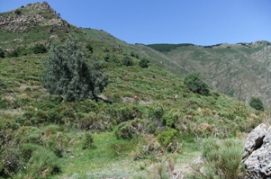 wandeltochten rondom Lo Closo