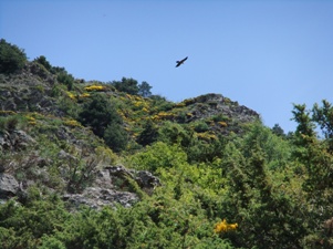 wandeltochten rondom Lo Closo