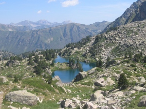 monesterodal