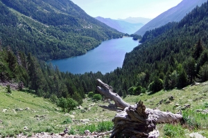 monesterodal