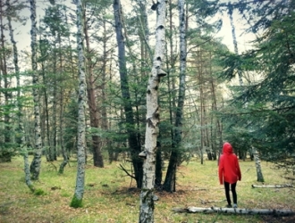tim in bos