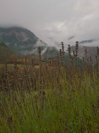 pui de linya en pic de fonguera