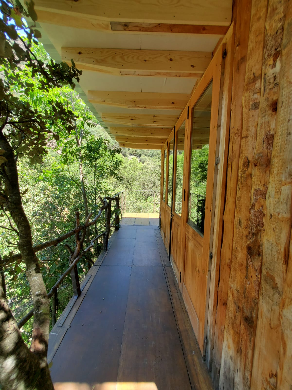 Boomhut balkon