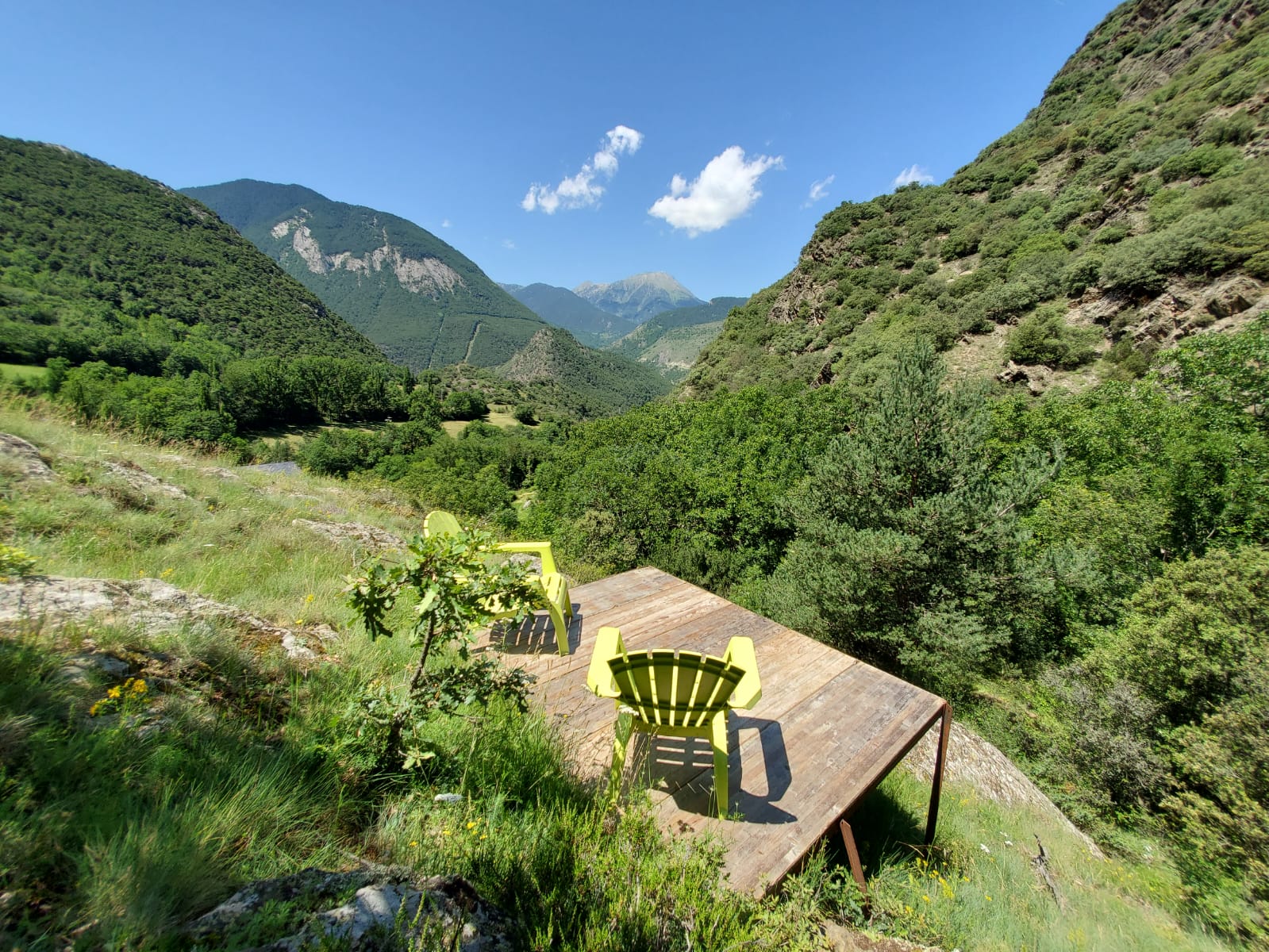 Uitzicht boomhut