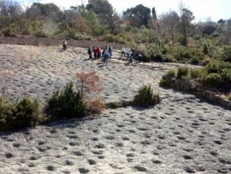 dinousaurus pyreneeën