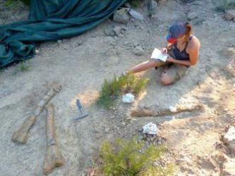dinousaurus pyreneeën