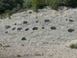 dinousaurus pyreneeën